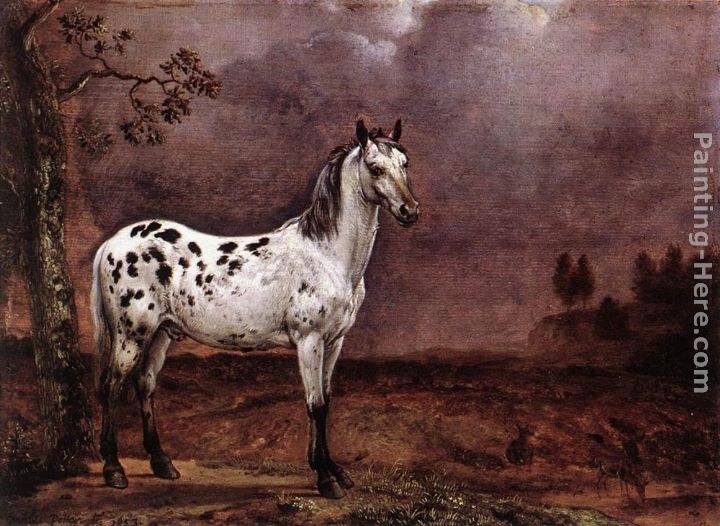 Paulus Potter The Spotted Horse